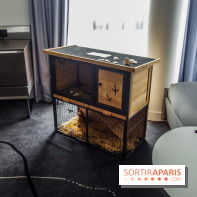 Le « Dîner avec les poules », nos photos