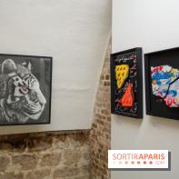 Street vs Wild, nos photos