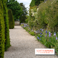 Le Château d'Auvers sur Oise  - A7C08679