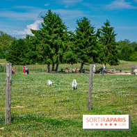 Parrot World, le parc animalier immersif d'Île-de-France