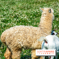 Parrot World, le parc animalier immersif d'Île-de-France