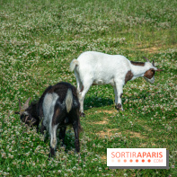 Parrot World, le parc animalier immersif d'Île-de-France