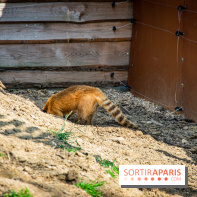 Parrot World, le parc animalier immersif d'Île-de-France