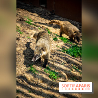 Parrot World, le parc animalier immersif d'Île-de-France