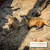 Parrot World, le parc animalier immersif d'Île-de-France