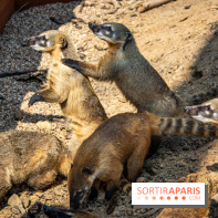 Parrot World, le parc animalier immersif d'Île-de-France