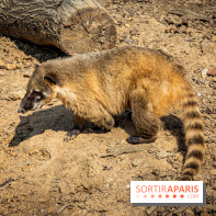 Parrot World, le parc animalier immersif d'Île-de-France