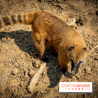 Parrot World, le parc animalier immersif d'Île-de-France