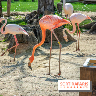 Parrot World, le parc animalier immersif d'Île-de-France