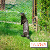 Parrot World, le parc animalier immersif d'Île-de-France