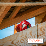 Parrot World, le parc animalier immersif d'Île-de-France
