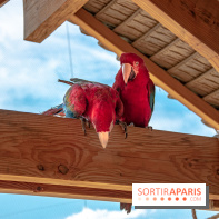 Parrot World, le parc animalier immersif d'Île-de-France