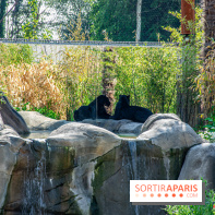 Parrot World, le parc animalier immersif d'Île-de-France
