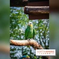 Parrot World, le parc animalier immersif d'Île-de-France
