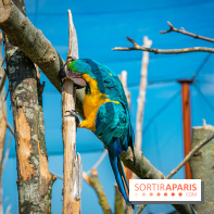 Parrot World, le parc animalier immersif d'Île-de-France