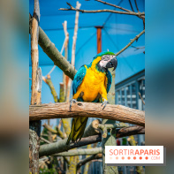 Parrot World, le parc animalier immersif d'Île-de-France
