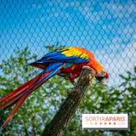 Parrot World, le parc animalier immersif d'Île-de-France