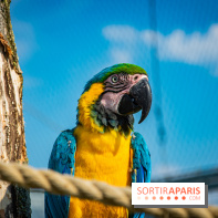 Parrot World, le parc animalier immersif d'Île-de-France