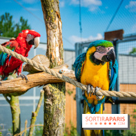 Parrot World, le parc animalier immersif d'Île-de-France