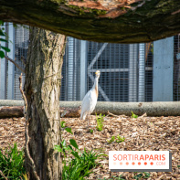 Parrot World, le parc animalier immersif d'Île-de-France