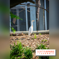 Parrot World, le parc animalier immersif d'Île-de-France