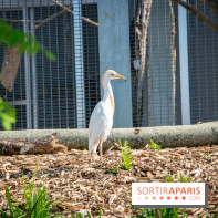 Parrot World, le parc animalier immersif d'Île-de-France