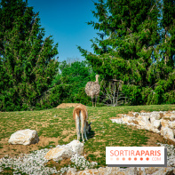 Parrot World, le parc animalier immersif d'Île-de-France