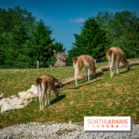 Parrot World, le parc animalier immersif d'Île-de-France
