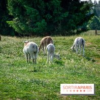 Parrot World, le parc animalier immersif d'Île-de-France