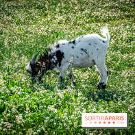 Parrot World, le parc animalier immersif d'Île-de-France