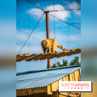 Parrot World, le parc animalier immersif d'Île-de-France