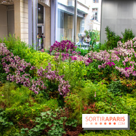 Surface Horizon, l'exposition à Lafayette Anticipations : nos photos