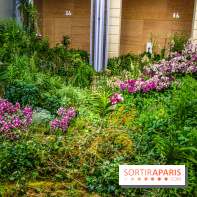 Surface Horizon, l'exposition à Lafayette Anticipations : nos photos