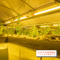 Surface Horizon, l'exposition à Lafayette Anticipations : nos photos