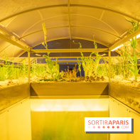 Surface Horizon, l'exposition à Lafayette Anticipations : nos photos