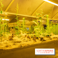 Surface Horizon, l'exposition à Lafayette Anticipations : nos photos