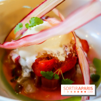 Narro à Paris, nos photos