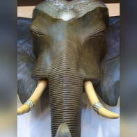 Maison et Objet - les éléphants