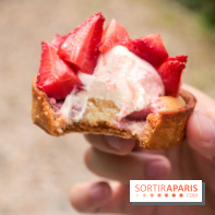 Les glaces des belles envies