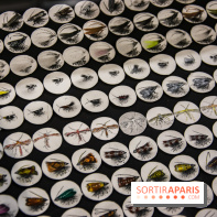 Drawing Power - Children of Compost, l'exposition au Drawing Lab