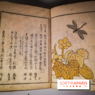 Jardins d'Asie, l'exposition dépaysante du Musée Guimet - nos photos