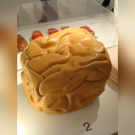 Body house - François Bernard©