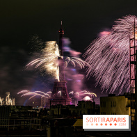 Photos feu d'artifice Paris 2021