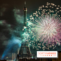 Photos feu d'artifice Paris 2021