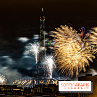 Photos feu d'artifice Paris 2021