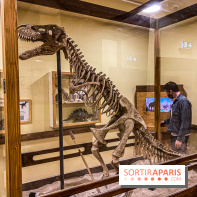 Team Breack La Défense