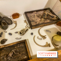 Team Breack La Défense