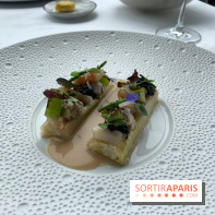 Oiseau Blanc Peninsula