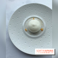 Oiseau Blanc Peninsula