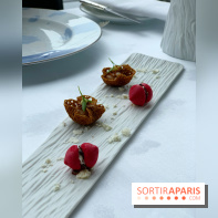 Oiseau Blanc Peninsula